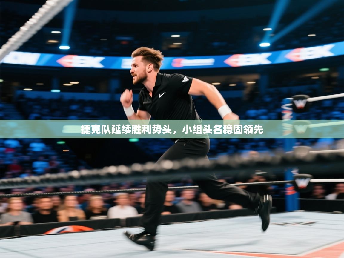 捷克队延续胜利势头，小组头名稳固领先  第1张
