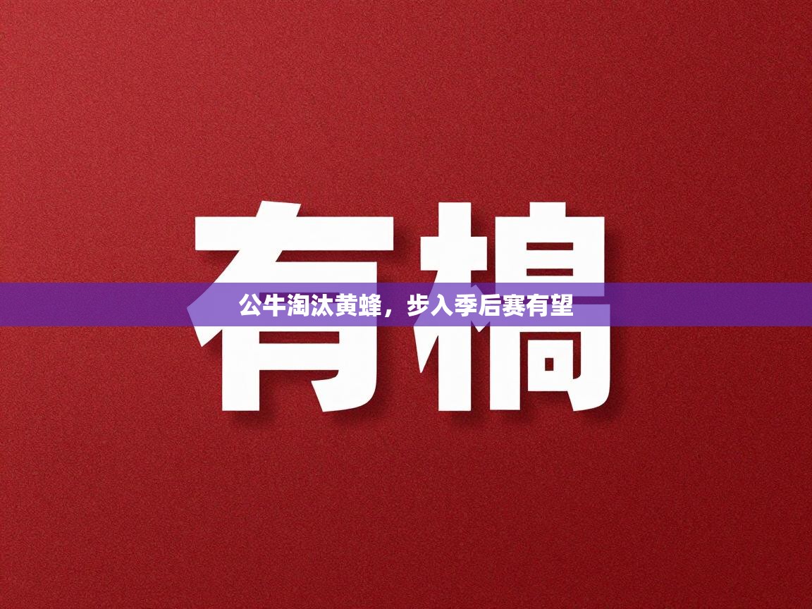 公牛淘汰黄蜂，步入季后赛有望  第1张