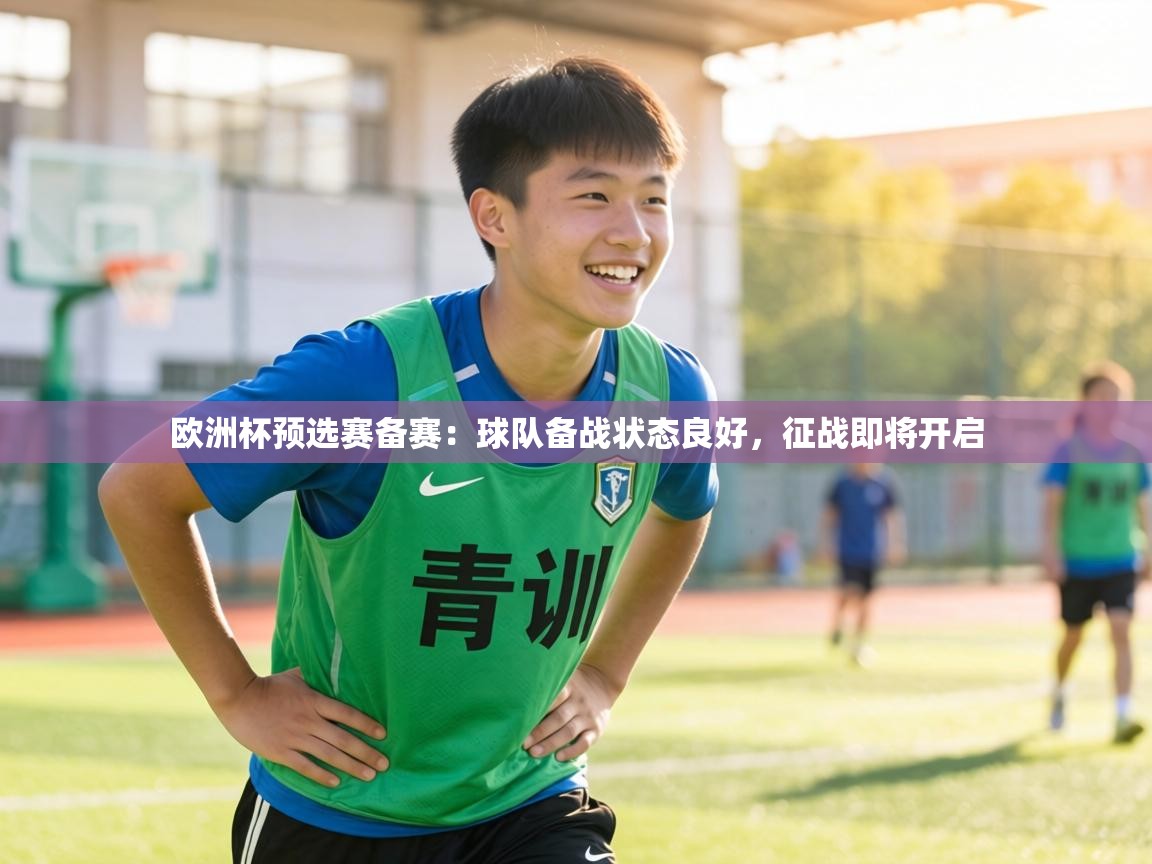 欧洲杯预选赛备赛:球队备战状态良好,征战即将开启 第2张